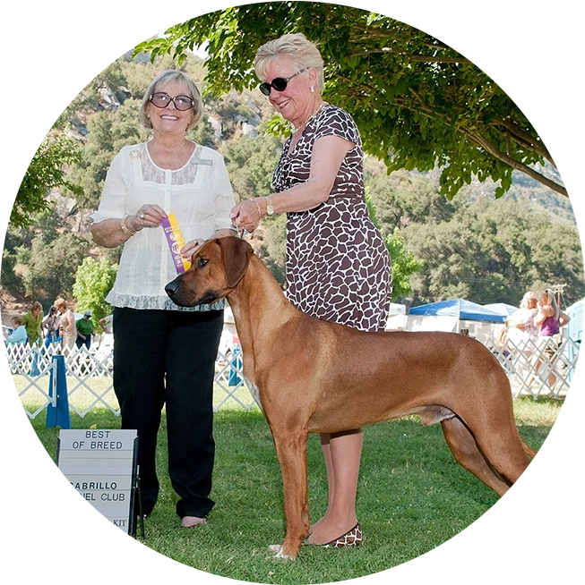 A woman and a dog are standing in the grass.