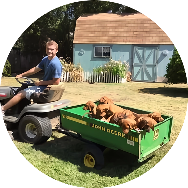 A man riding on the back of a green lawn mower.