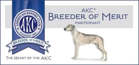 A dog is standing in front of the akc logo.